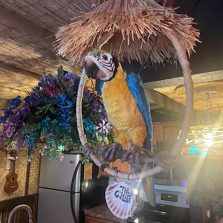 The Kondo Tiki Tampa Luaran gambar