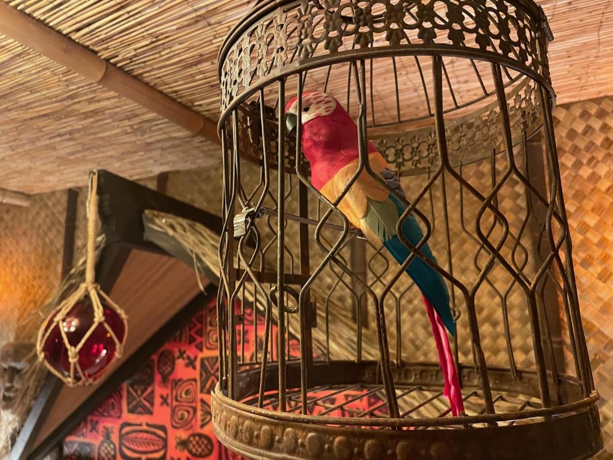 The Kondo Tiki Tampa Luaran gambar